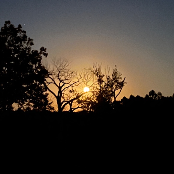 Meet your Posher, Kelly - Picture 1 of 1